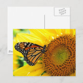 Carte Postale Papillon (Devant / Derrière)