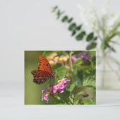 carte postale papillon (Debout devant)