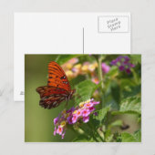 carte postale papillon (Devant / Derrière)