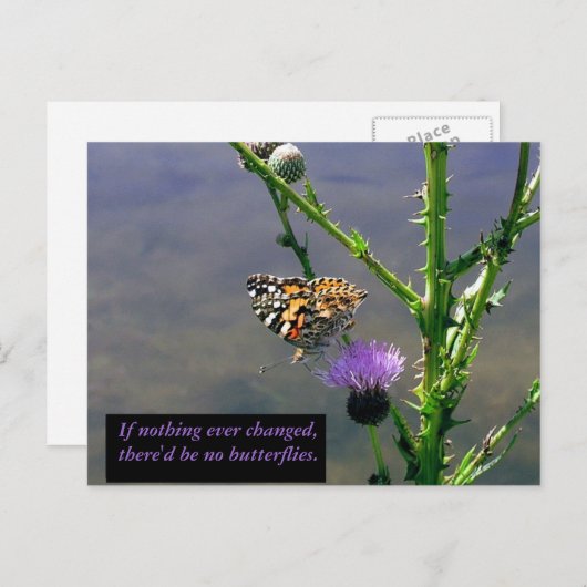 Carte Postale Papillon (Devant / Derrière)