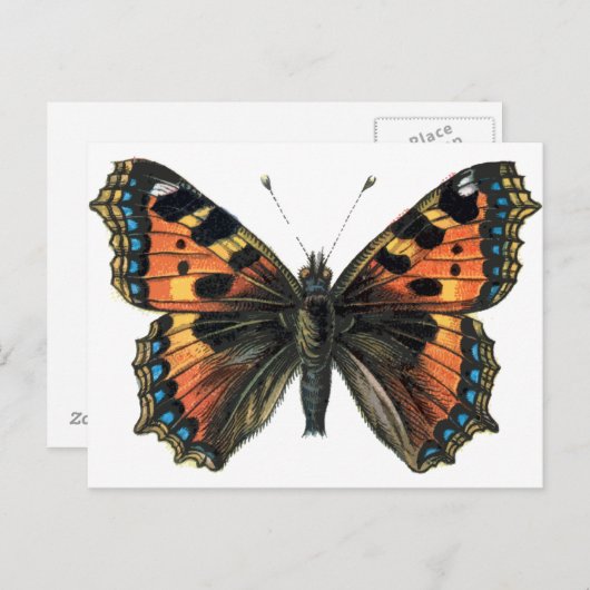 Carte Postale Papillon 01 (Devant / Derrière)