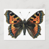 Carte Postale Papillon 01 (Devant)