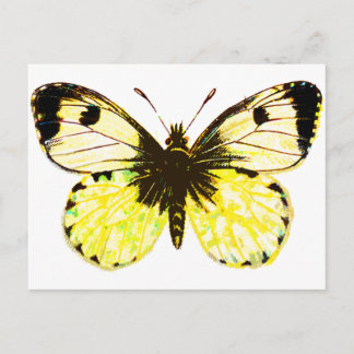 Carte Postale Papillon 02