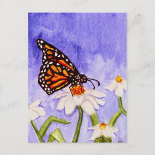 Carte postale Papillon 1