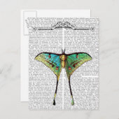 Carte Postale Papillon 2 (Devant / Derrière)