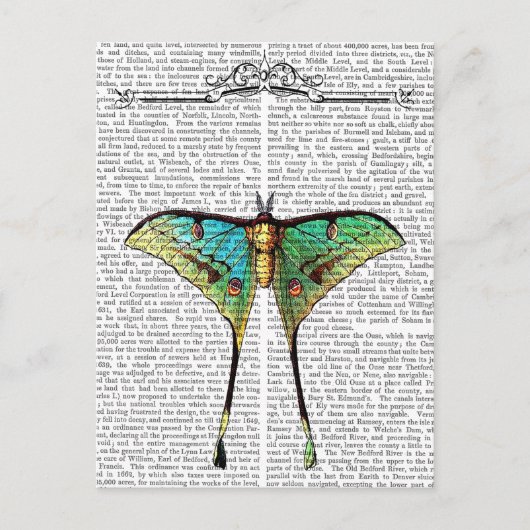 Carte Postale Papillon 2 (Devant)
