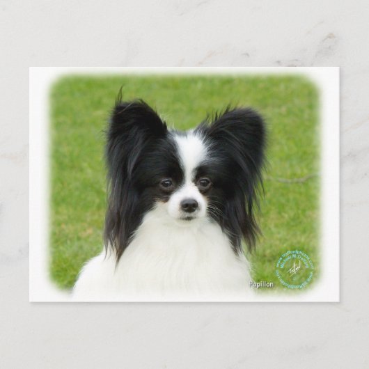 Carte Postale Papillon 9T056D-088 (Devant)