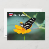 Carte Postale Papillon à aile longue Zebra - Costa Rica (Devant / Derrière)