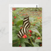 Carte Postale Papillon à ailes longues de Floride Zebra (Devant / Derrière)