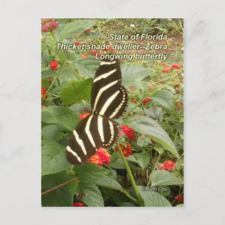 Carte Postale Papillon à ailes longues de Floride Zebra