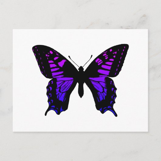 Carte Postale Papillon à ailes ombrées bleu violet (Devant)