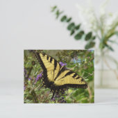 Carte Postale Papillon à queue d'aronde sur Buddleia (Debout devant)