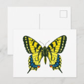 Carte Postale Papillon à queue épaisse de tigre (Devant / Derrière)