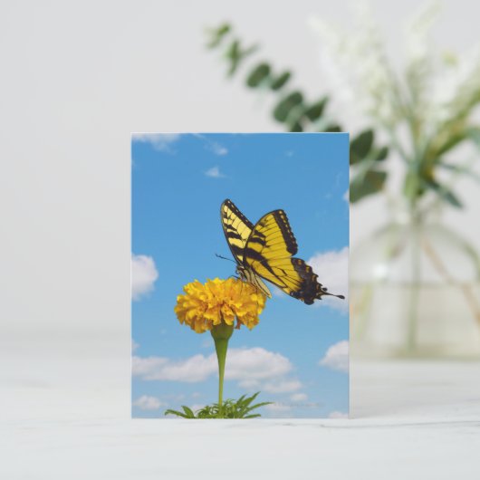 Carte Postale Papillon à queue épaisse de tigre sur une fleur (Debout devant)