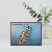 Carte postale Papillon Aguna #2 (Debout devant)