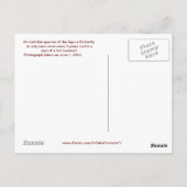 Carte postale Papillon Aguna #2 (Dos)