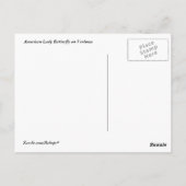 Carte Postale Papillon américain (Dos)