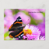 Carte postale Papillon Amiral Rouge (Devant)