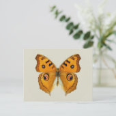 Carte Postale Papillon Argus des prairies (Debout devant)