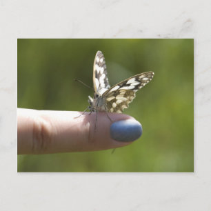 Carte Postale papillon au doigt