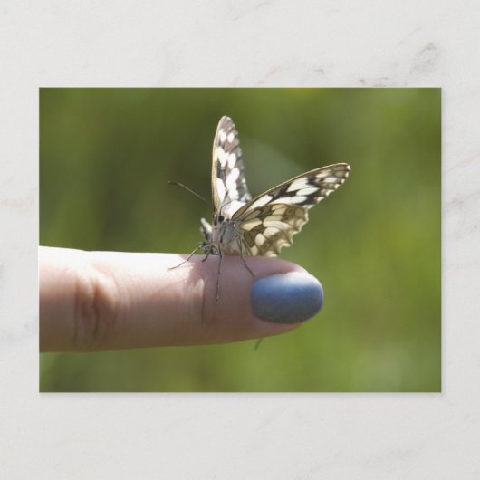 Carte Postale papillon au doigt (Devant)