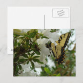 Carte Postale Papillon au printemps (Devant / Derrière)
