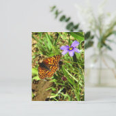 Carte Postale Papillon au printemps (Debout devant)