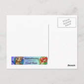 Carte Postale Papillon Beauty POSTCARD (Dos)