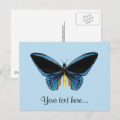 Carte Postale Papillon Birdwing (Devant / Derrière)