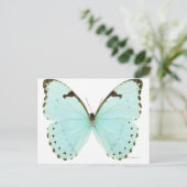 Carte Postale Papillon blanc (Debout devant)