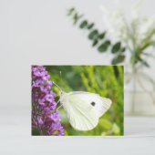 Carte Postale Papillon blanc 1 (Debout devant)