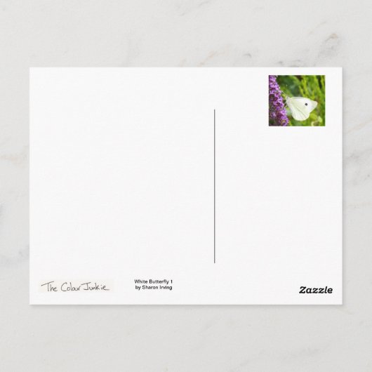 Carte Postale Papillon blanc 1 (Dos)