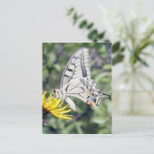 Carte Postale Papillon blanc et noir sur Fleur Jaune (Debout devant)