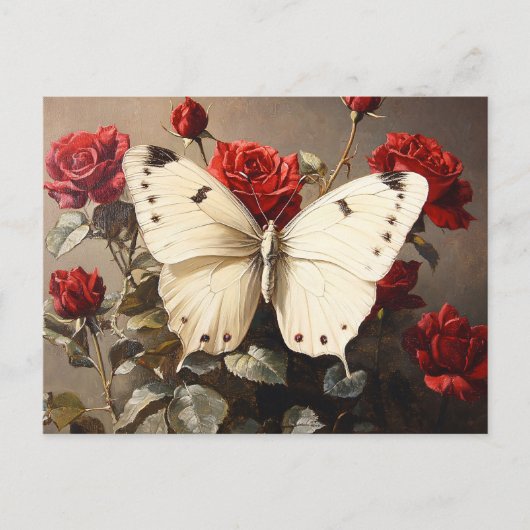 Carte Postale Papillon blanc reposant parmi les roses rouges vib (Devant)