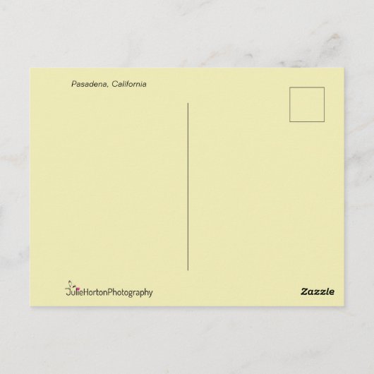 Carte Postale Papillon blanc sur fleurs roses (Dos)