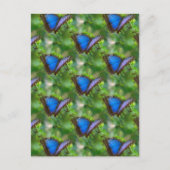 Carte Postale Papillon bleu (Devant)