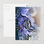 Carte Postale Papillon bleu (Devant / Derrière)