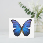 Carte Postale papillon bleu (Debout devant)