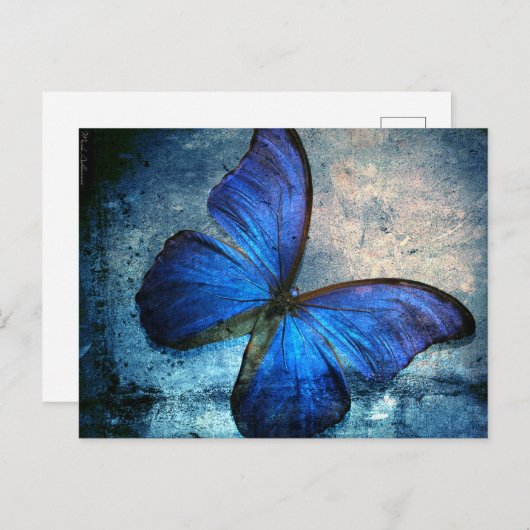 Carte postale papillon bleu (Devant / Derrière)
