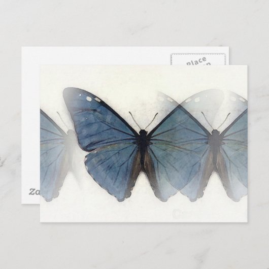 Carte Postale Papillon bleu (Devant / Derrière)