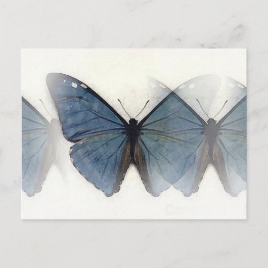 Carte Postale Papillon bleu (Devant)