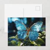 Carte Postale Papillon bleu assez transparent (Devant / Derrière)