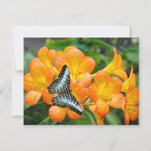 Carte Postale Papillon bleu avec Rhododendron tropical