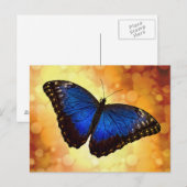 Carte Postale Papillon bleu Morpho (Devant / Derrière)