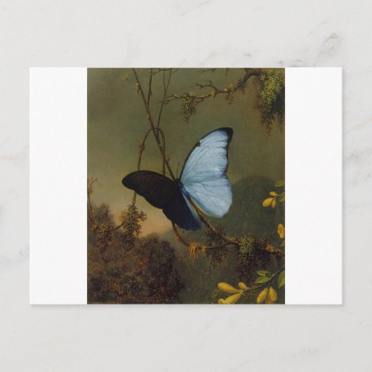 Carte Postale Papillon bleu Morpho 1865 Printemps Personnaliser (Devant)