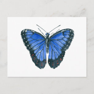 Carte Postale Papillon bleu Morpho aquarelle peinture
