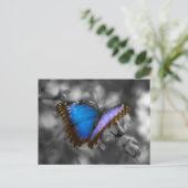 Carte Postale Papillon bleu pourpre (Debout devant)