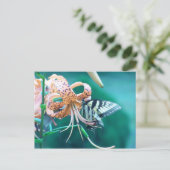 Carte Postale Papillon bleu-vert (Debout devant)