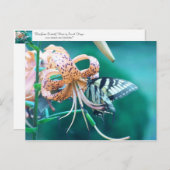 Carte Postale Papillon bleu-vert (Devant / Derrière)