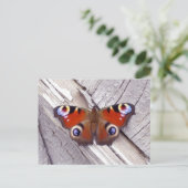 Carte Postale papillon brillant (Debout devant)